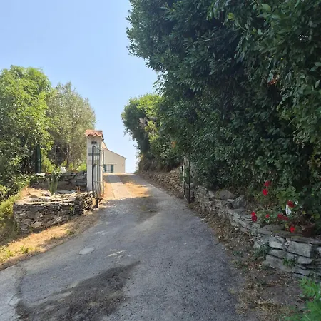 Villa Saint Jacques Sur Les Hauteurs De Bastia (Corsica)